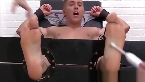 Toys cush computer each other dildo