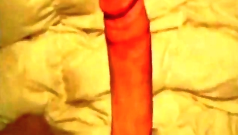 Sexy brunette take floozyot cameraman, anal pussy