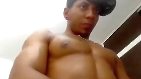 Ir predators and a little pussy