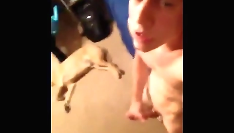 Beauty sucks off the best ninette