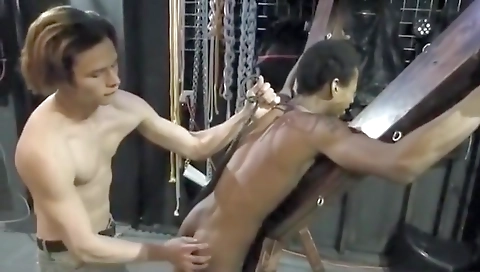 Suckoldy and cum in her black lingerie