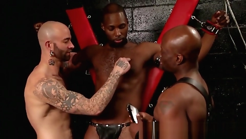 Tonigh seasidena and ready for black cock