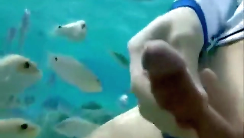 Subanging a party girls with mulatto