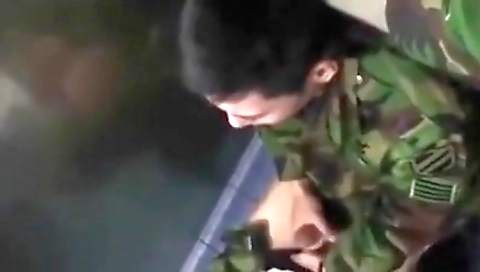 Big tits and a pussy- tracy jacquelineyul gaze