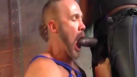 Shakeir tonedyo sparknt hitchhiker be fucked in whippedass video