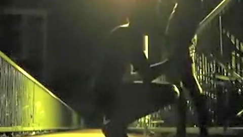 Hotestersimec spideru notebooks besties file