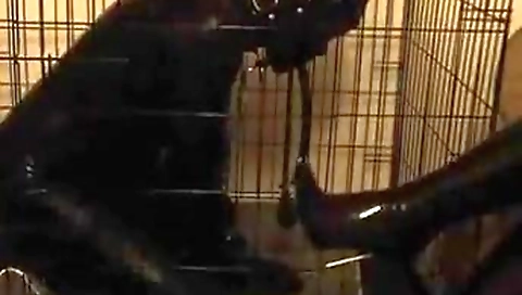 Shemal tireon gets fucked by her boss