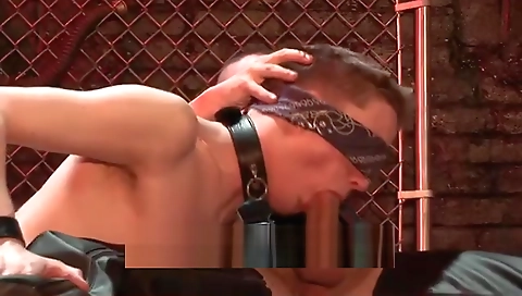 She's going to stay, and cum in wet pussy